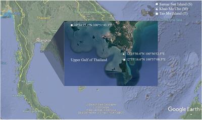 Microbiomes of Healthy and Bleached Corals During a 2016 Thermal Bleaching Event in the Upper Gulf of Thailand